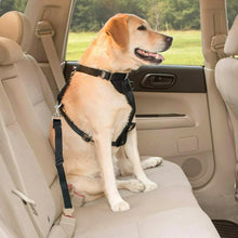 Adjustable Pet Car Seat Belt: Safety Harness for Dogs